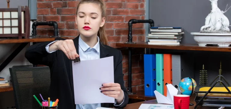 le fichier des ecritures comptables