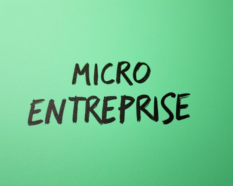 micro entreprise guide 2025