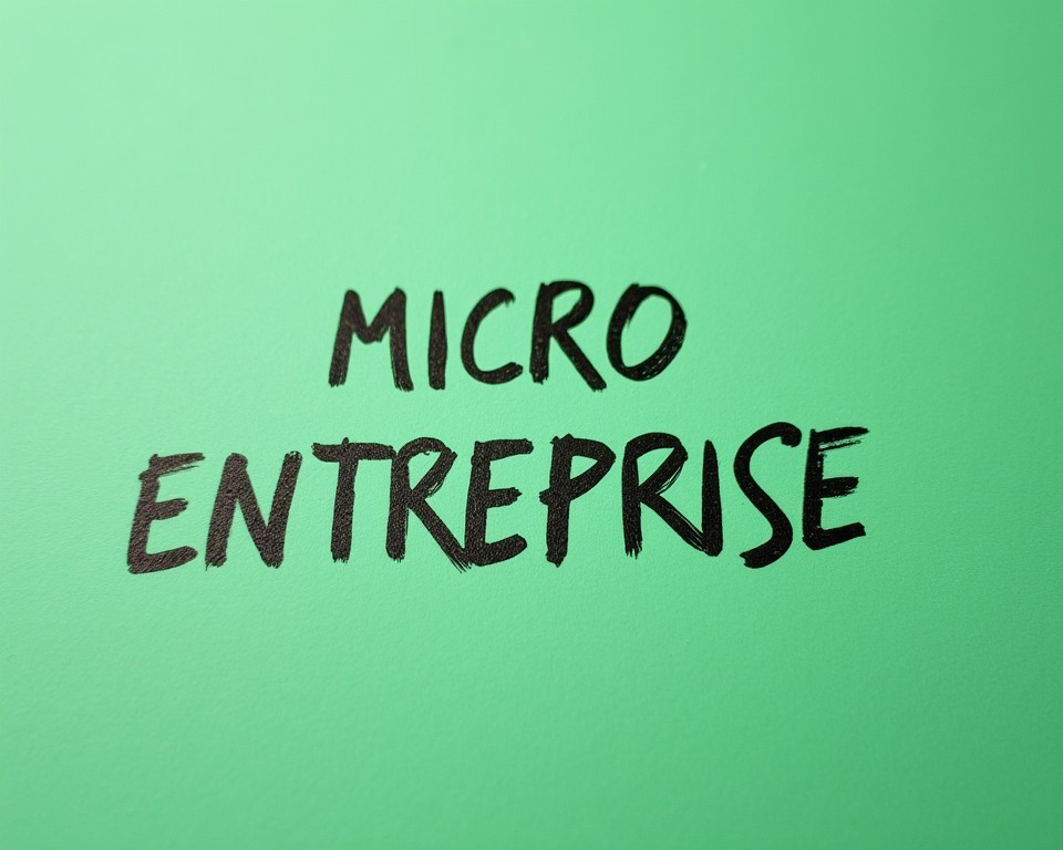 micro entreprise guide 2025